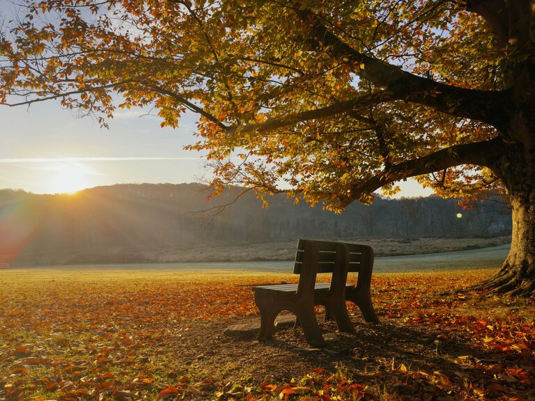 Mindful Breaks You Can Take in Just Five Minutes